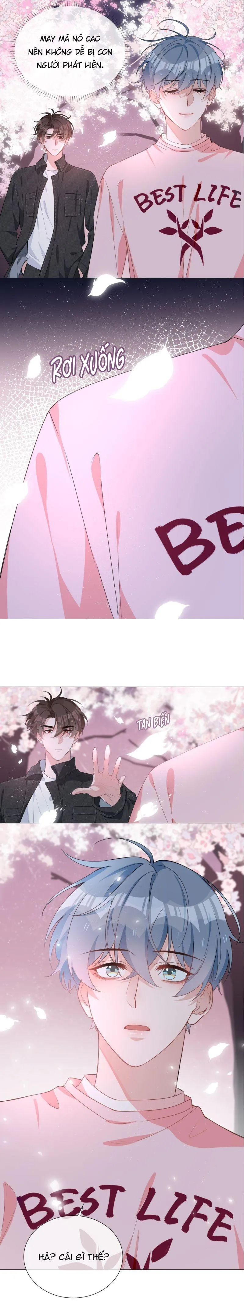 Trường Cấp Ba Sơn Hải Chapter 26 Trang 5