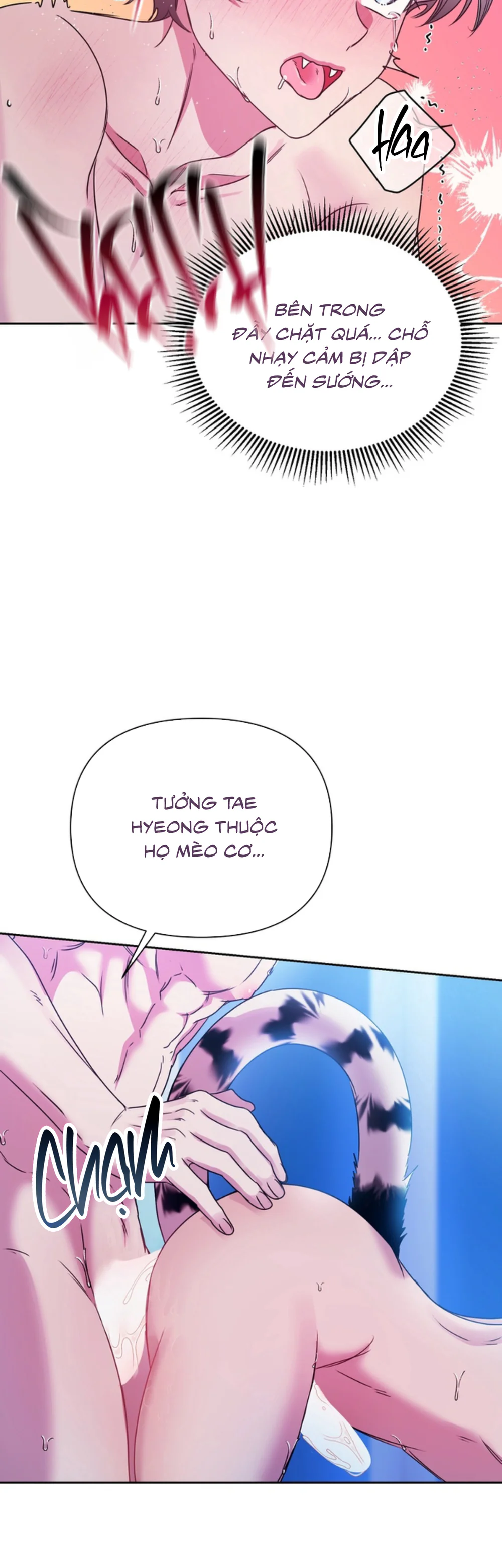 TRUYỂN TẬP - NHỮNG CON KU NÚNG NÍNH Chapter 27 Trang 15