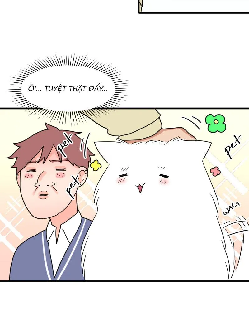 Truyện Ngôn Nhưng Không Ngôn Lắm Chapter 15 Trang 40