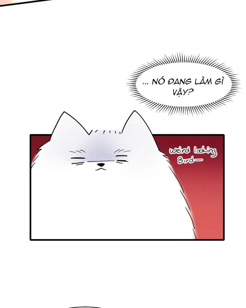Truyện Ngôn Nhưng Không Ngôn Lắm Chapter 15 Trang 70