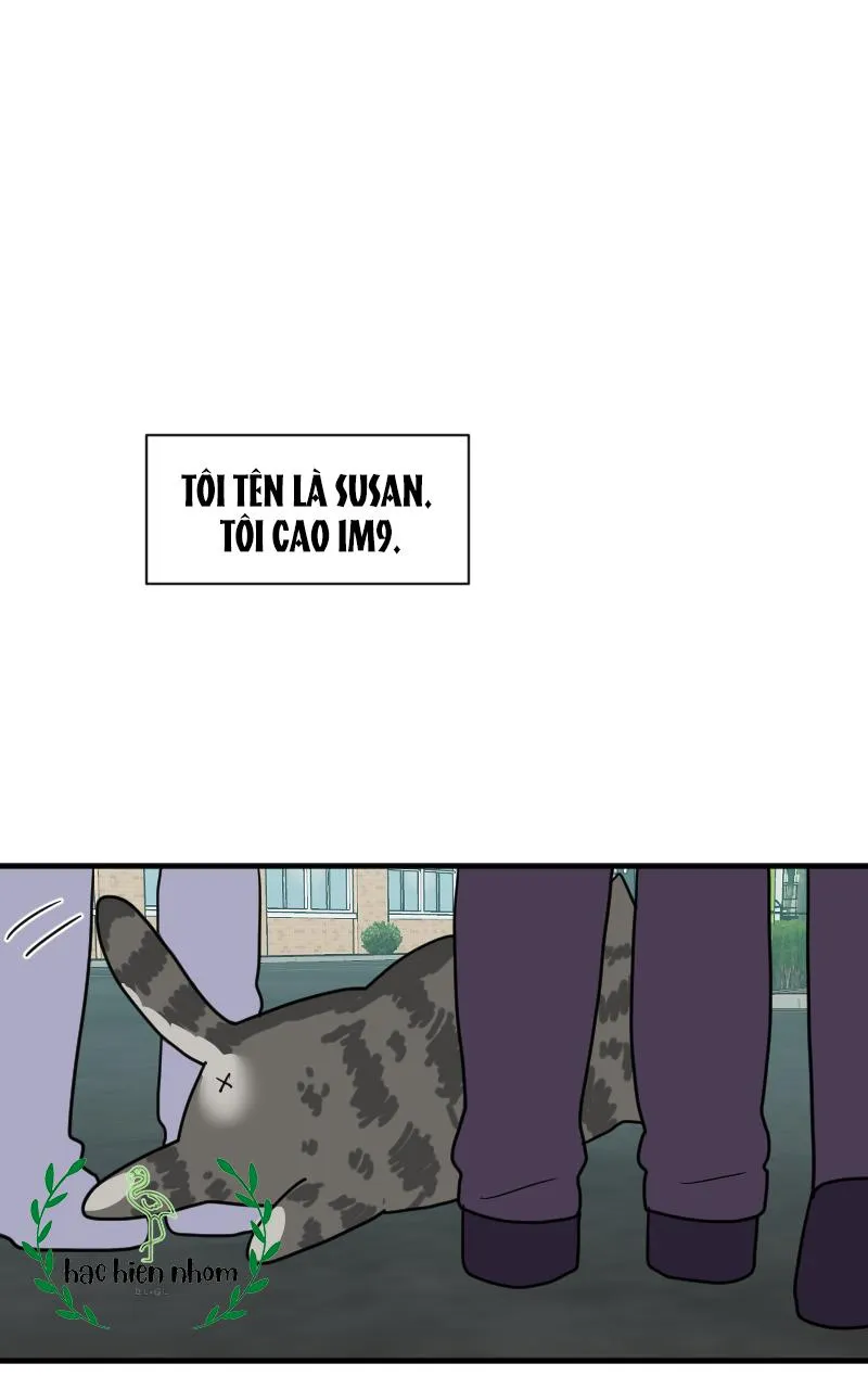 Truyện Ngôn Nhưng Không Ngôn Lắm Chapter 29 Trang 24