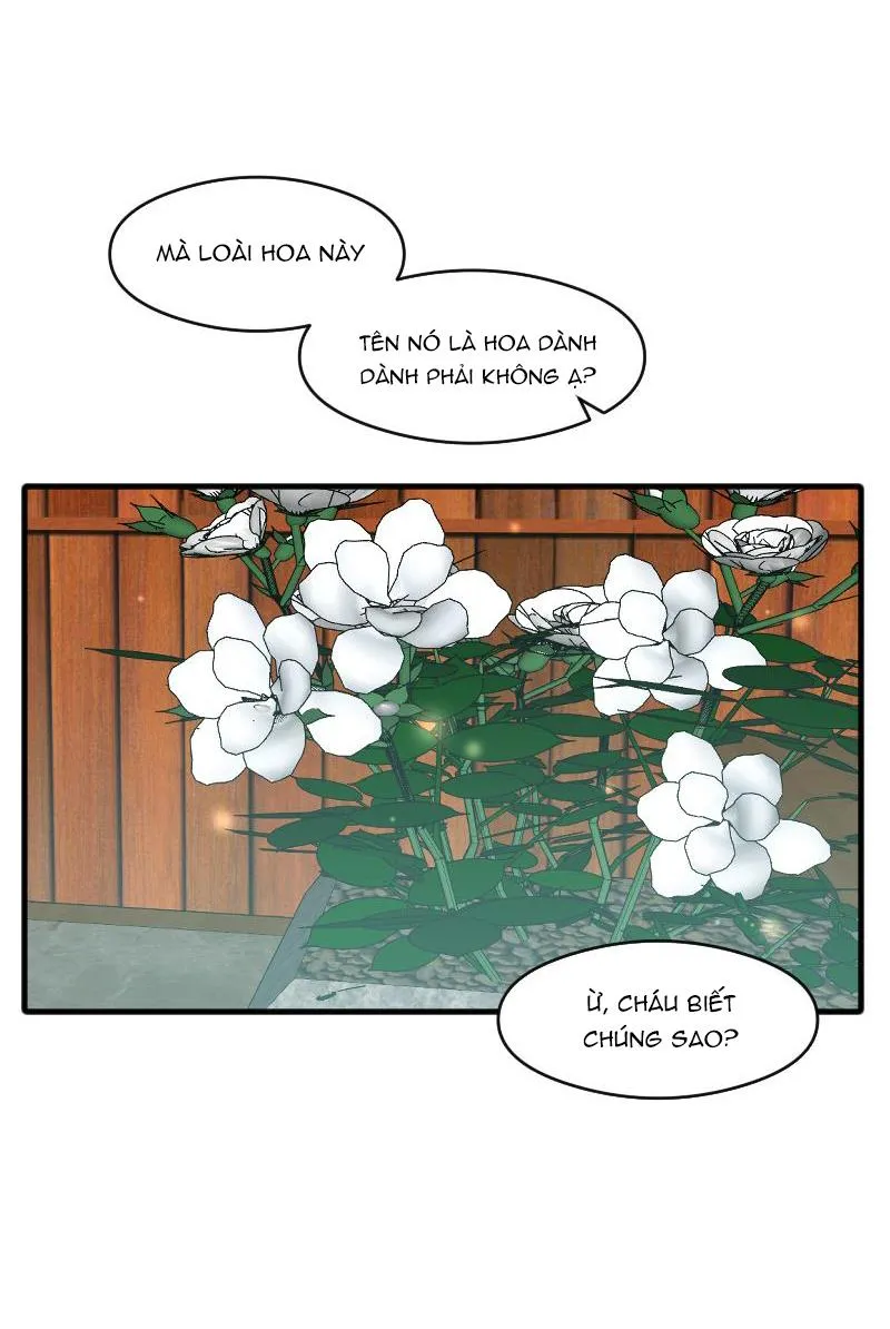 Truyện Ngôn Nhưng Không Ngôn Lắm Chapter 33 Trang 53