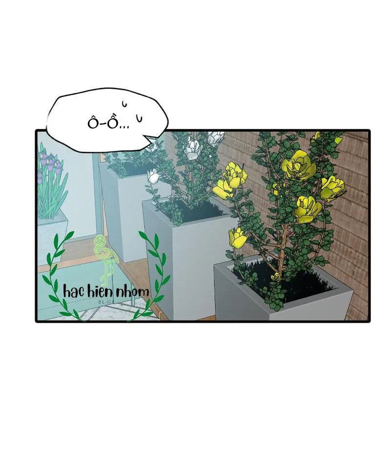 Truyện Ngôn Nhưng Không Ngôn Lắm Chapter 33 Trang 64