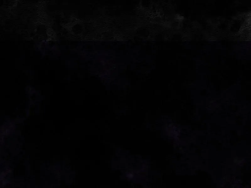 Truyện Ngôn Nhưng Không Ngôn Lắm Chapter 54 Trang 63