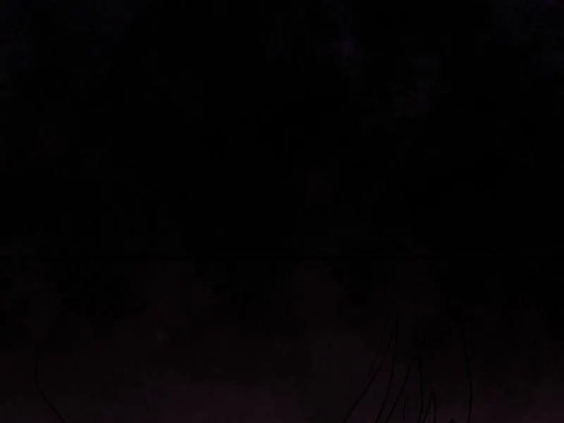 Truyện Ngôn Nhưng Không Ngôn Lắm Chapter 54 Trang 64