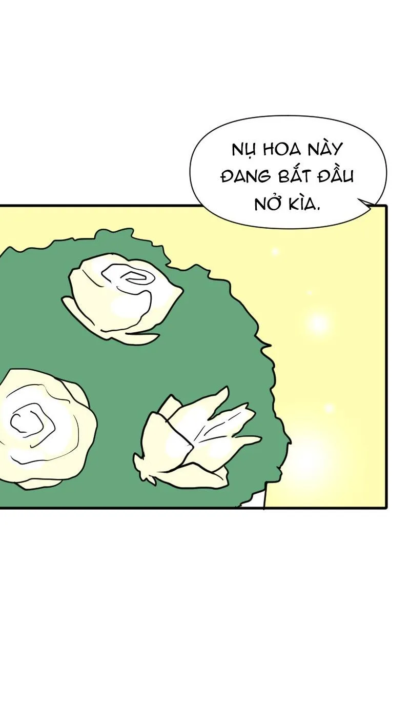 Truyện Ngôn Nhưng Không Ngôn Lắm Chapter 62 Trang 102