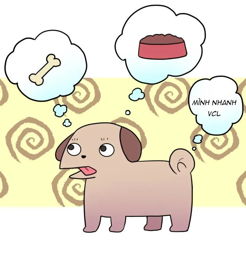 Truyện Ngôn Nhưng Không Ngôn Lắm Chapter 64 Trang 49