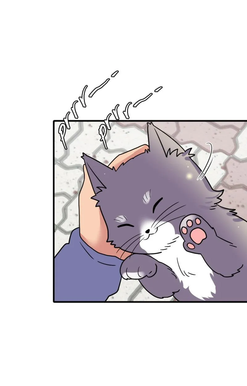 Truyện Ngôn Nhưng Không Ngôn Lắm Chapter 64 Trang 119