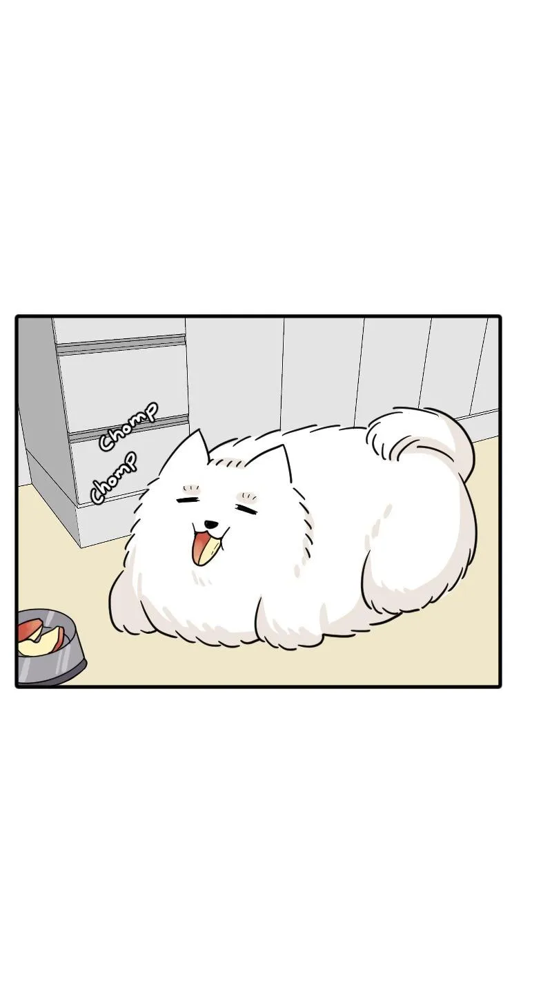 Truyện Ngôn Nhưng Không Ngôn Lắm Chapter 68 Trang 98