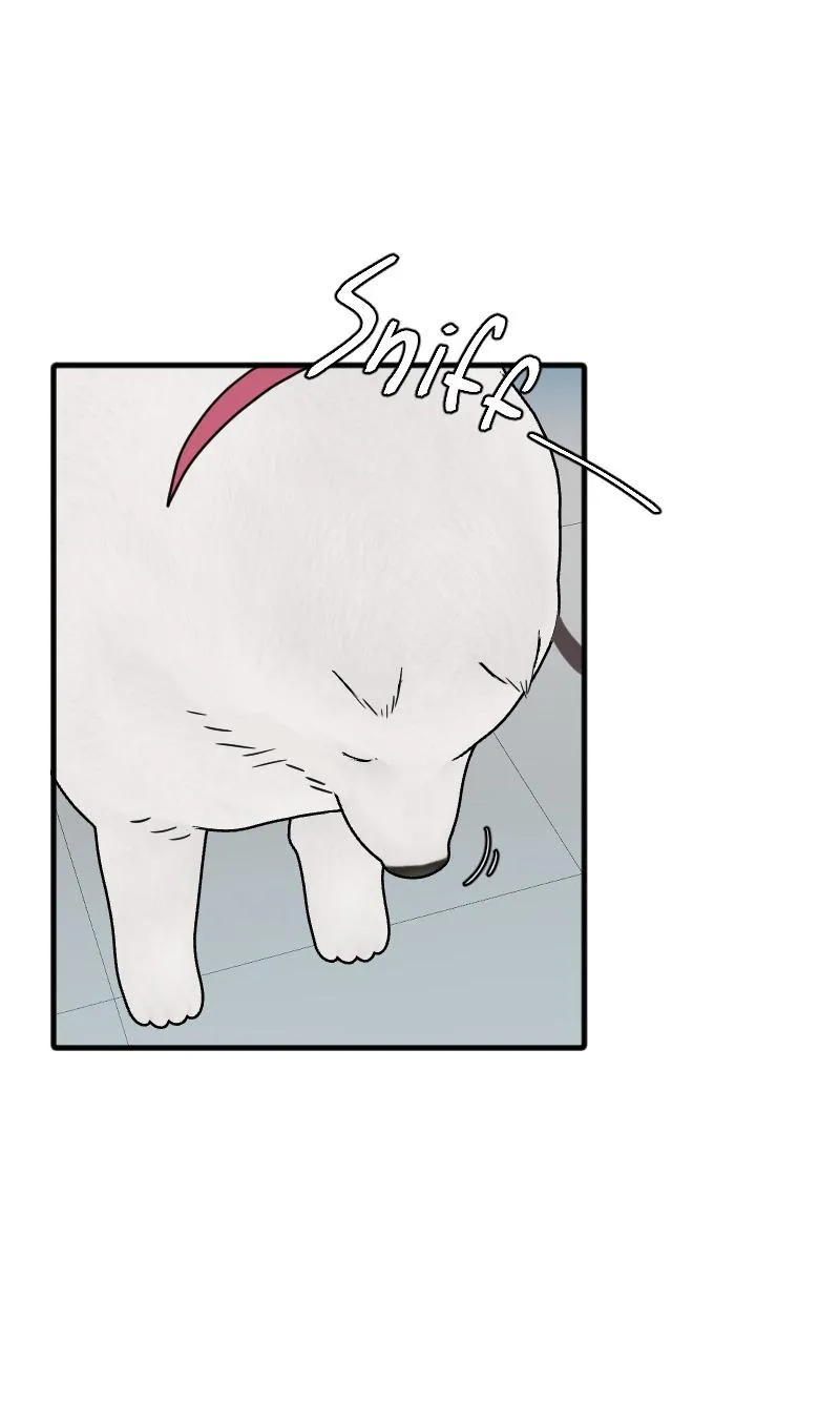 Truyện Ngôn Nhưng Không Ngôn Lắm Chapter 69 Trang 74