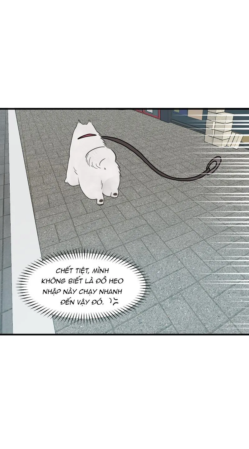 Truyện Ngôn Nhưng Không Ngôn Lắm Chapter 69 Trang 78