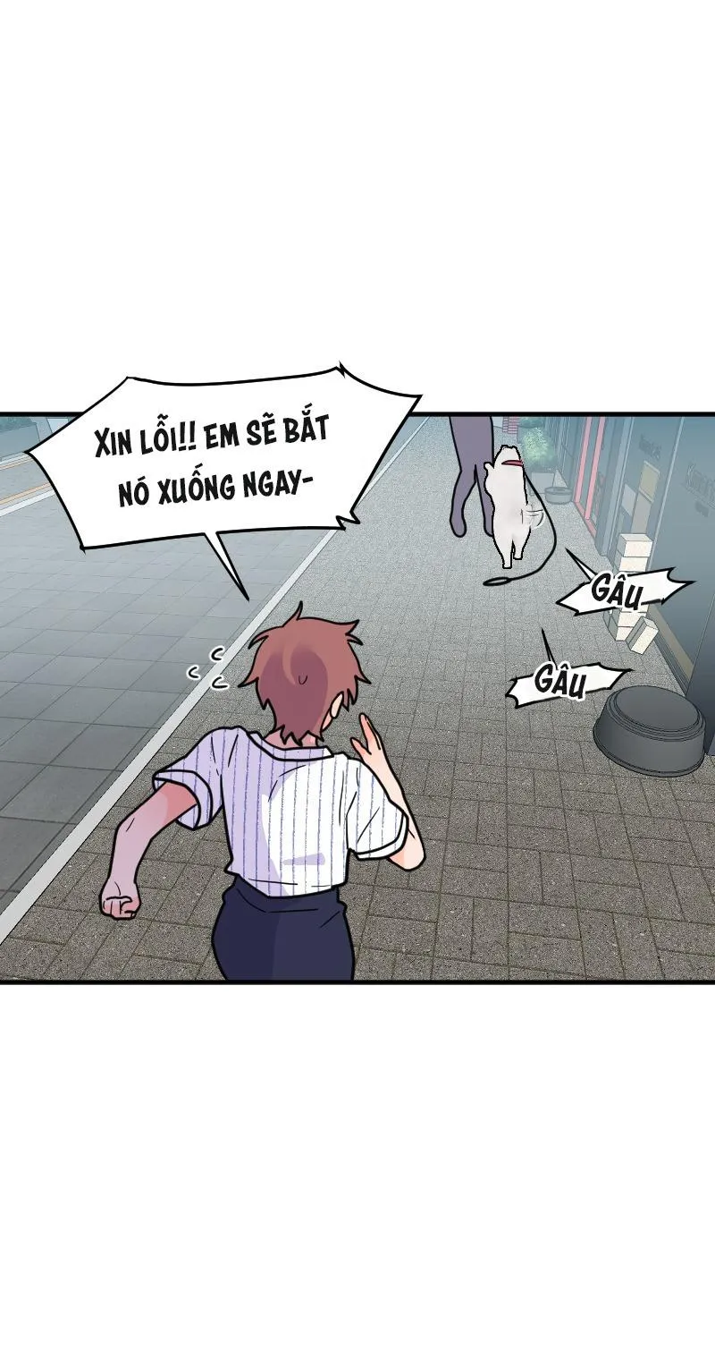 Truyện Ngôn Nhưng Không Ngôn Lắm Chapter 69 Trang 81