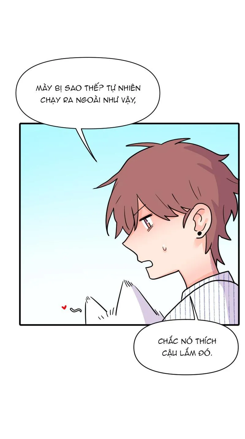Truyện Ngôn Nhưng Không Ngôn Lắm Chapter 69 Trang 92