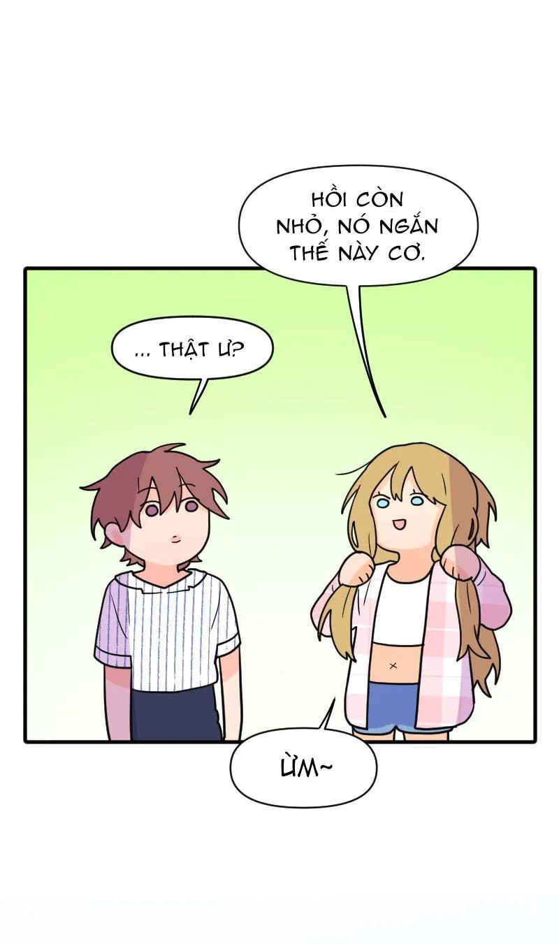 Truyện Ngôn Nhưng Không Ngôn Lắm Chapter 70 Trang 30