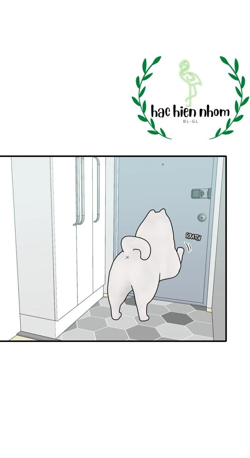Truyện Ngôn Nhưng Không Ngôn Lắm Chapter 87 Trang 19