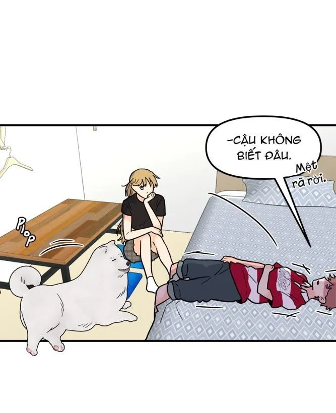 Truyện Ngôn Nhưng Không Ngôn Lắm Chapter 87 Trang 36