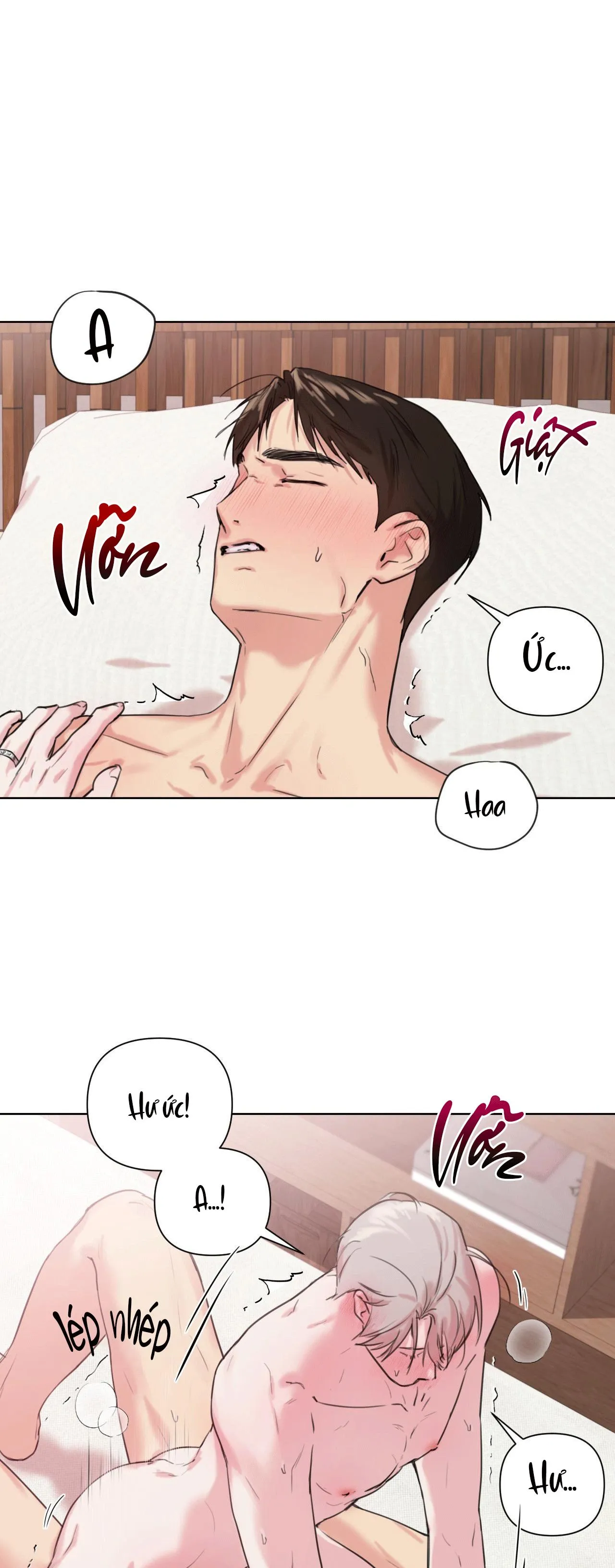 TU HÚ KHÔNG RỜI KHỎI TỔ Chapter 5 Trang 4