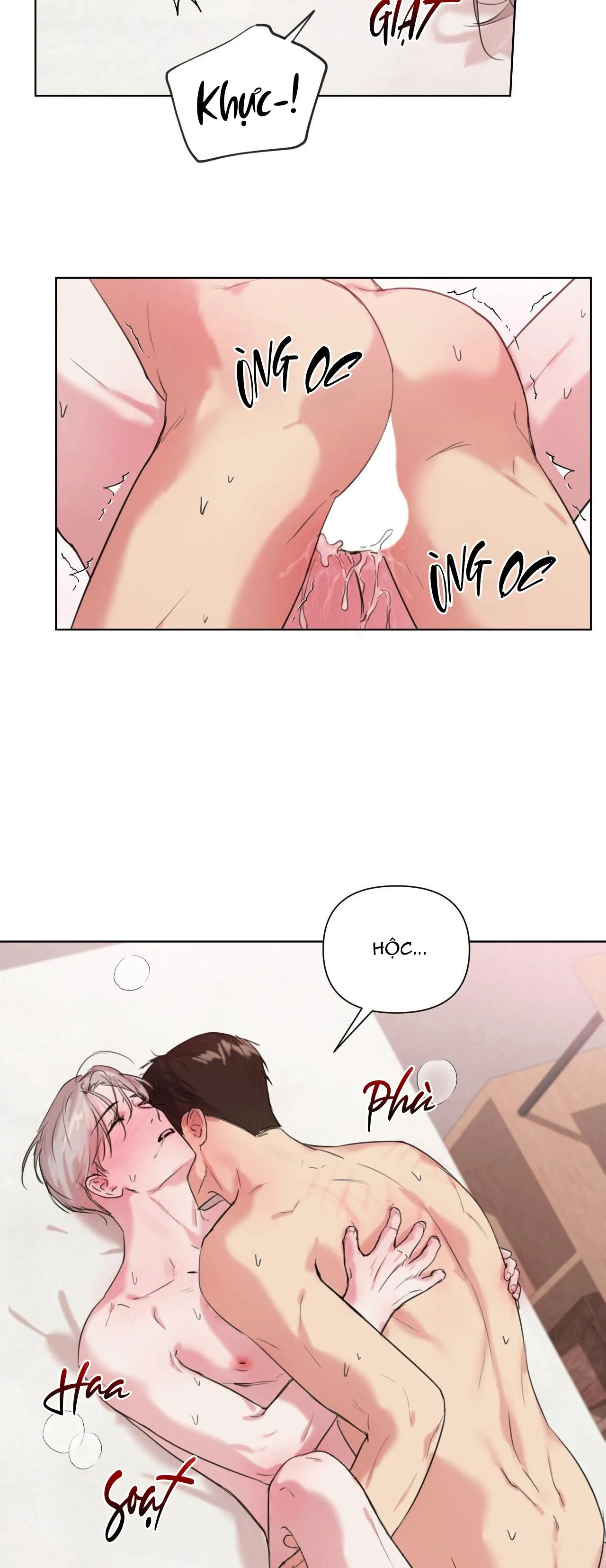 TU HÚ KHÔNG RỜI KHỎI TỔ Chapter 5 Trang 39