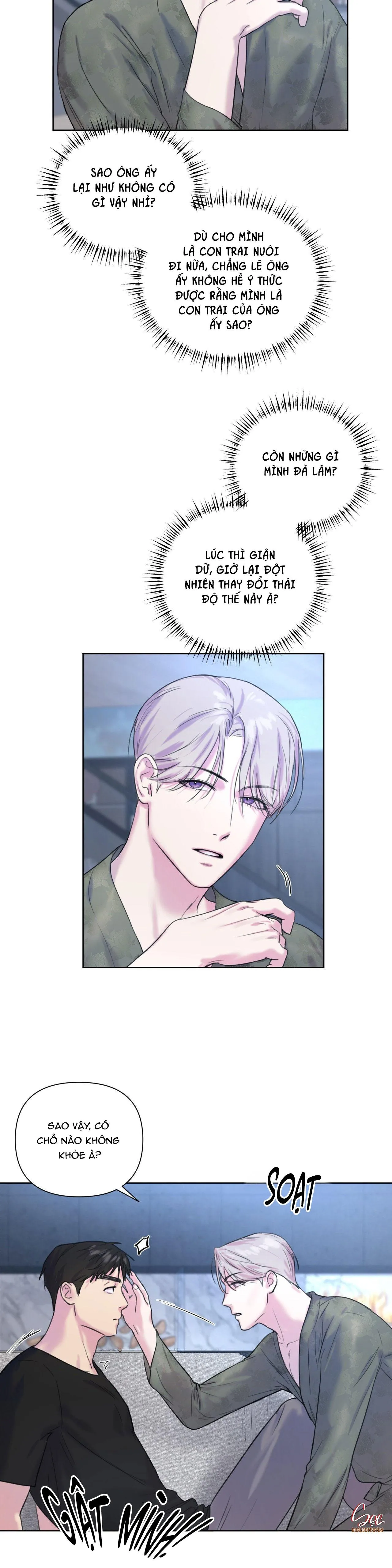 TU HÚ KHÔNG RỜI KHỎI TỔ Chapter 6 Trang 11