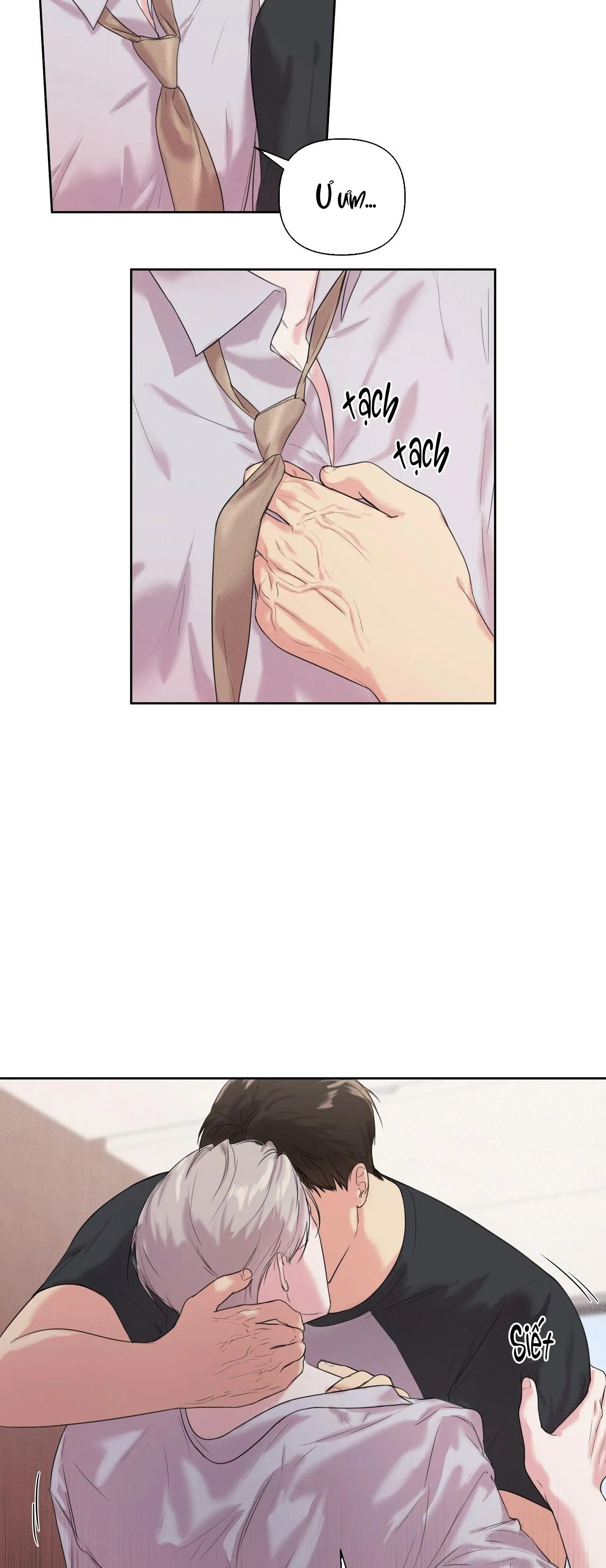 TU HÚ KHÔNG RỜI KHỎI TỔ Chapter 11 Trang 12