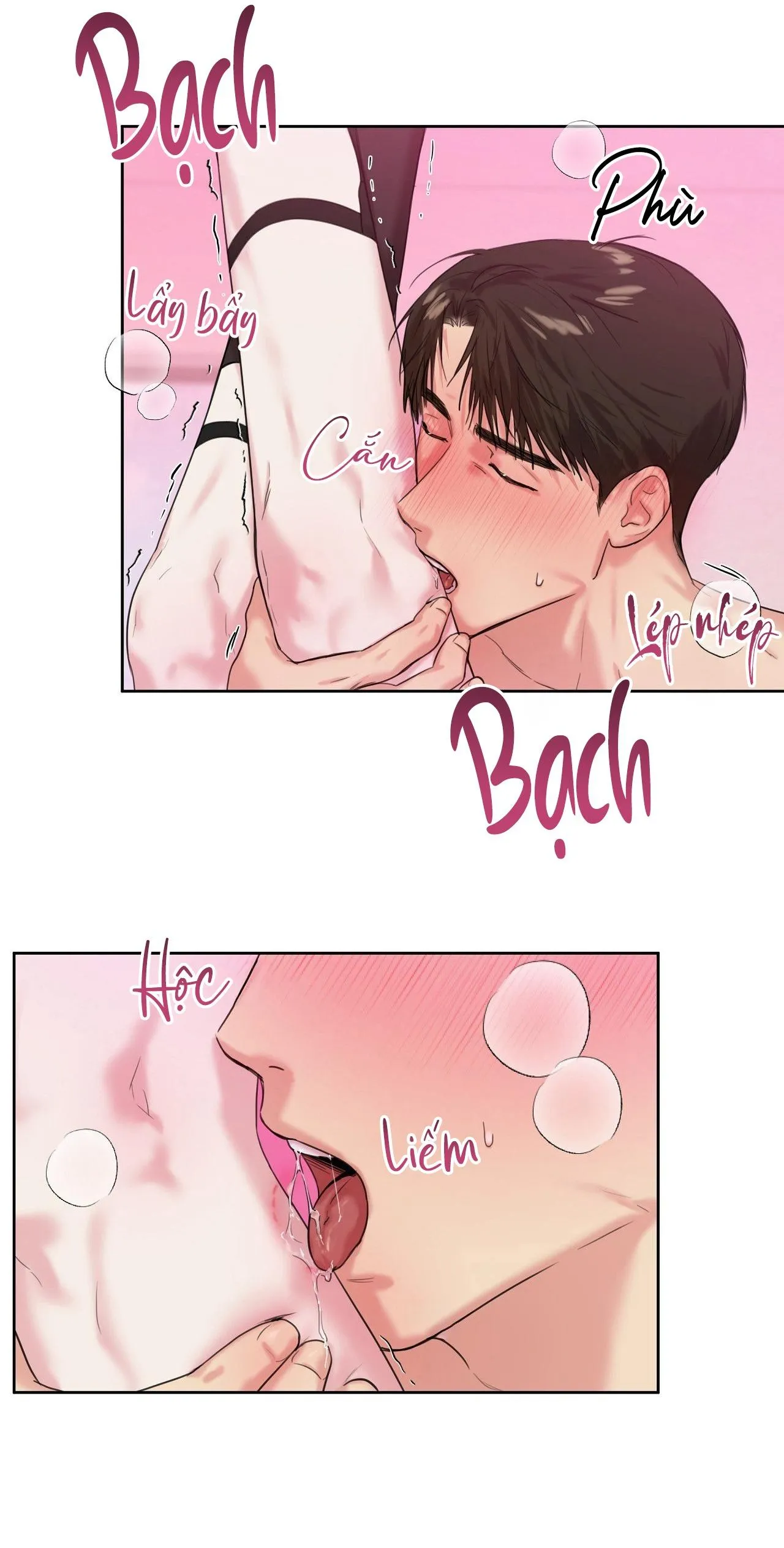 TU HÚ KHÔNG RỜI KHỎI TỔ Chapter 13 Trang 9