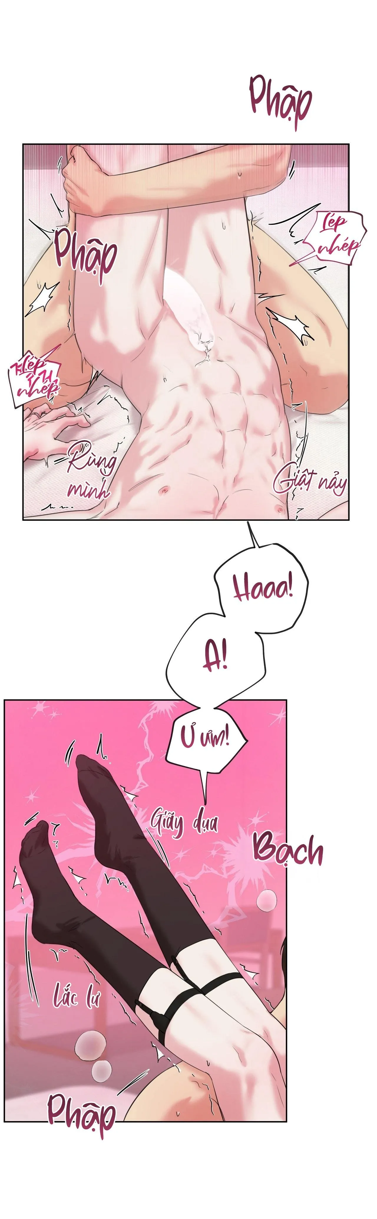 TU HÚ KHÔNG RỜI KHỎI TỔ Chapter 13 Trang 10