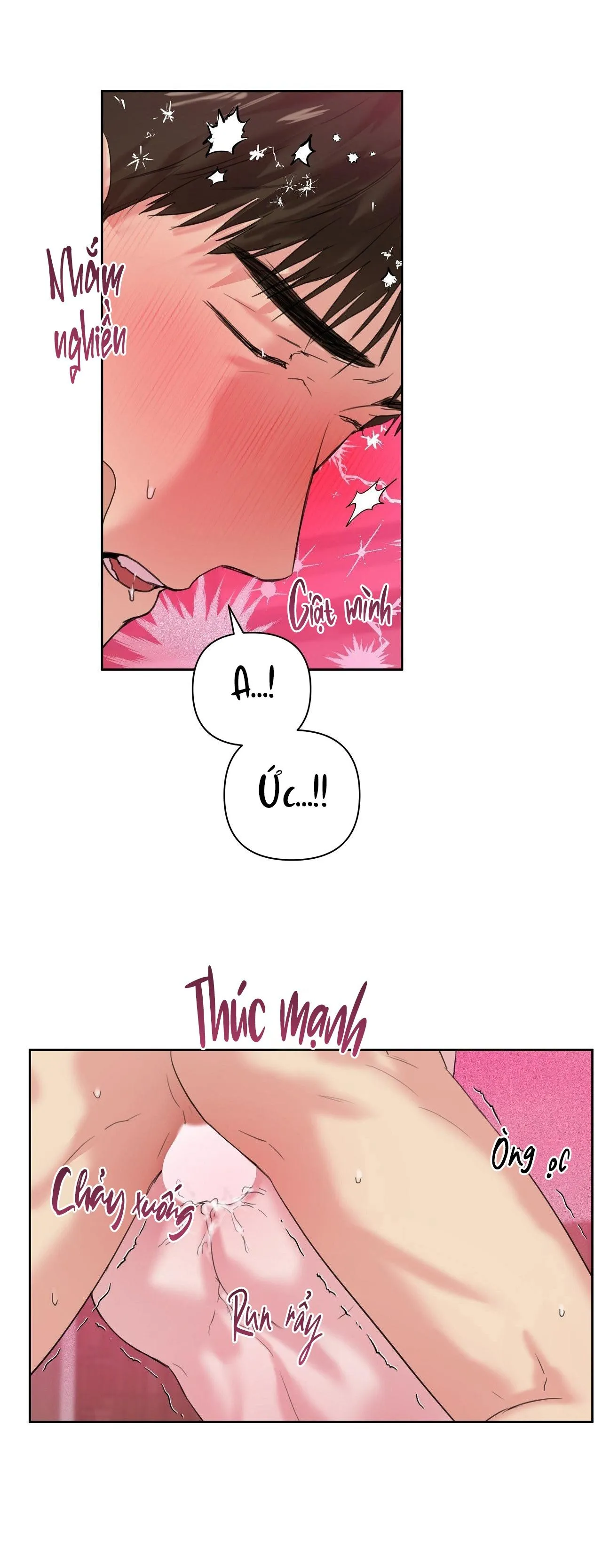 TU HÚ KHÔNG RỜI KHỎI TỔ Chapter 13 Trang 12