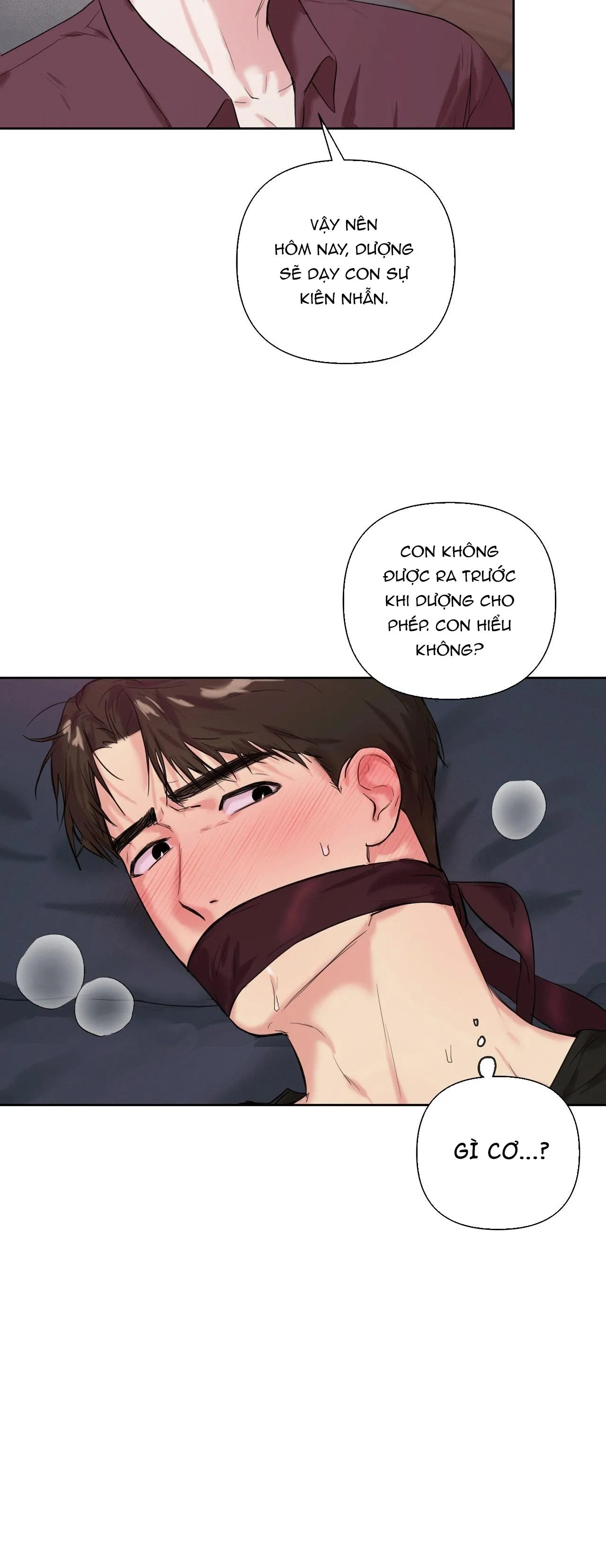 TU HÚ KHÔNG RỜI KHỎI TỔ Chapter 17 Trang 3