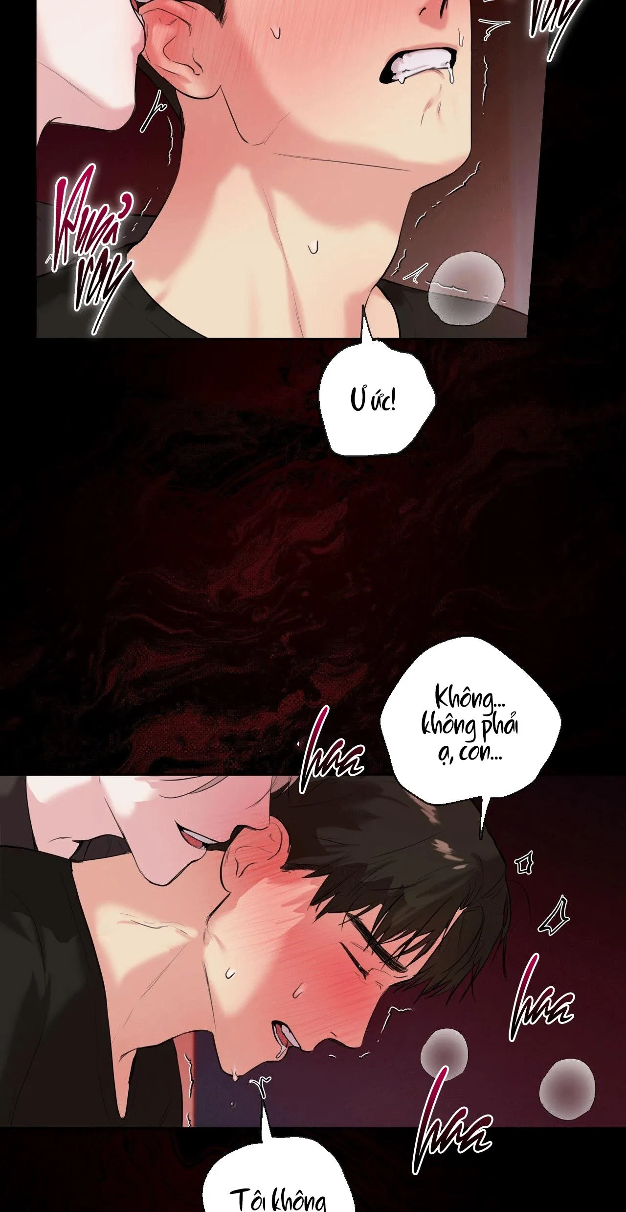 TU HÚ KHÔNG RỜI KHỎI TỔ Chapter 19 Trang 24