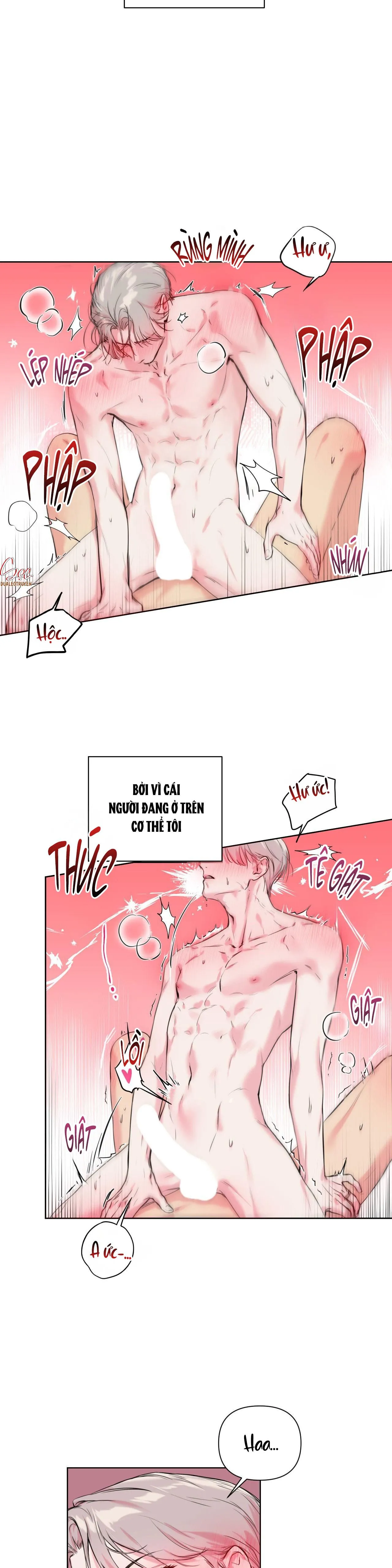 TU HÚ KHÔNG RỜI KHỎI TỔ Chapter 1 Trang 3