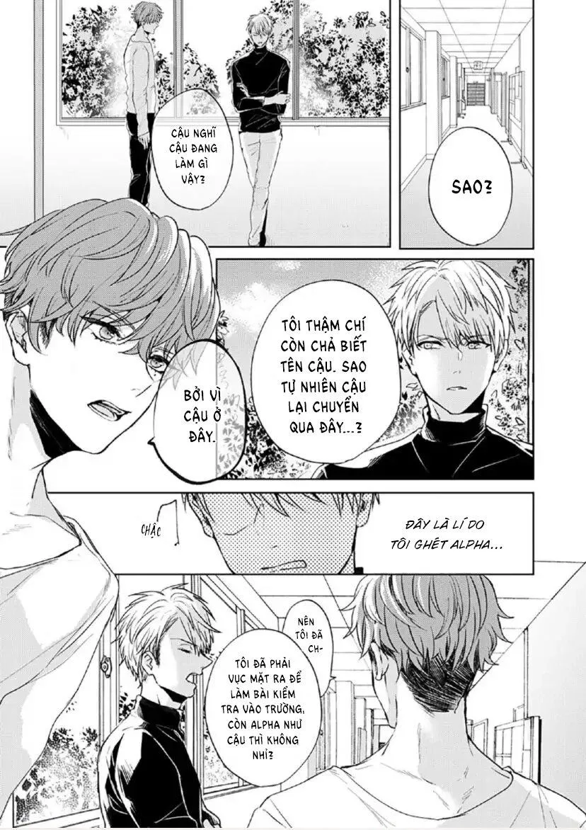 Từ Vết Cắn Cho Tới Mối Tình Đầu Chapter 2 Trang 13