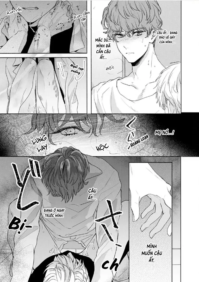 Từ Vết Cắn Cho Tới Mối Tình Đầu Chapter 3 Trang 19