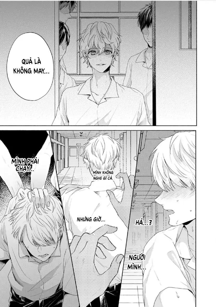 Từ Vết Cắn Cho Tới Mối Tình Đầu Chapter 4 Trang 10