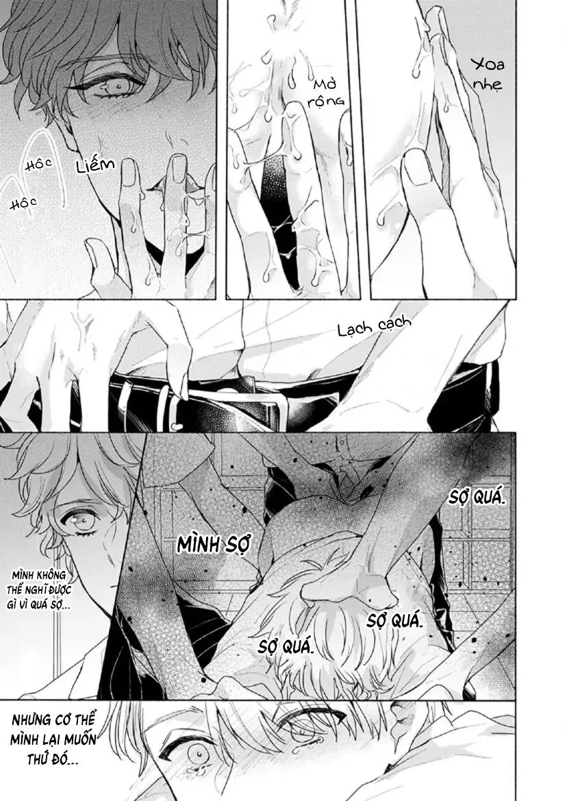 Từ Vết Cắn Cho Tới Mối Tình Đầu Chapter 4 Trang 14