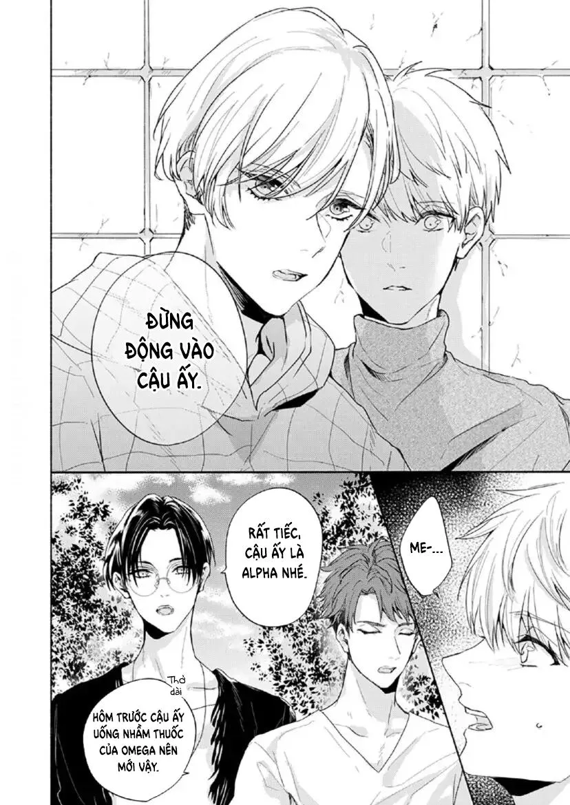 Từ Vết Cắn Cho Tới Mối Tình Đầu Chapter 5 Trang 8