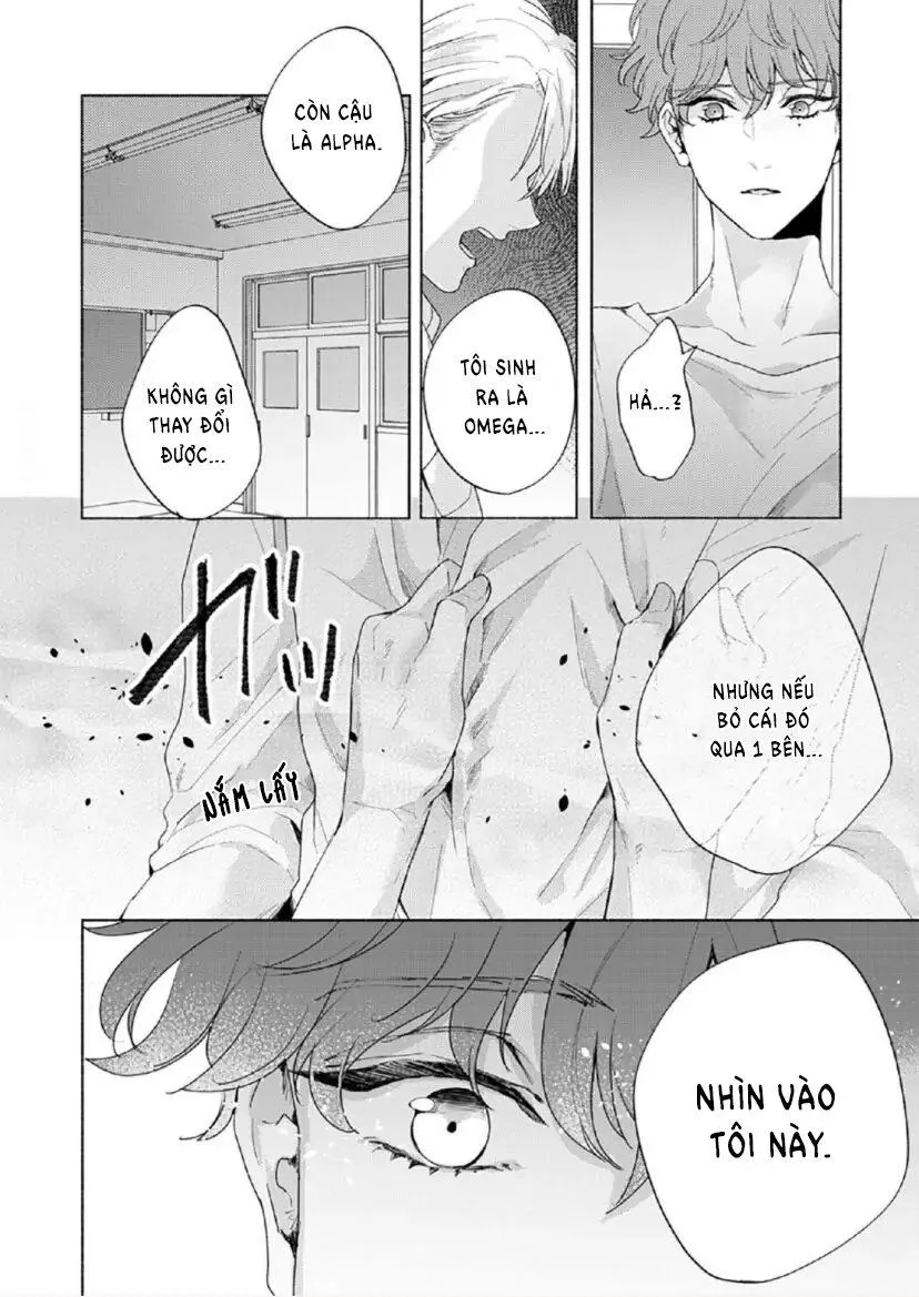 Từ Vết Cắn Cho Tới Mối Tình Đầu Chapter 6 Trang 9