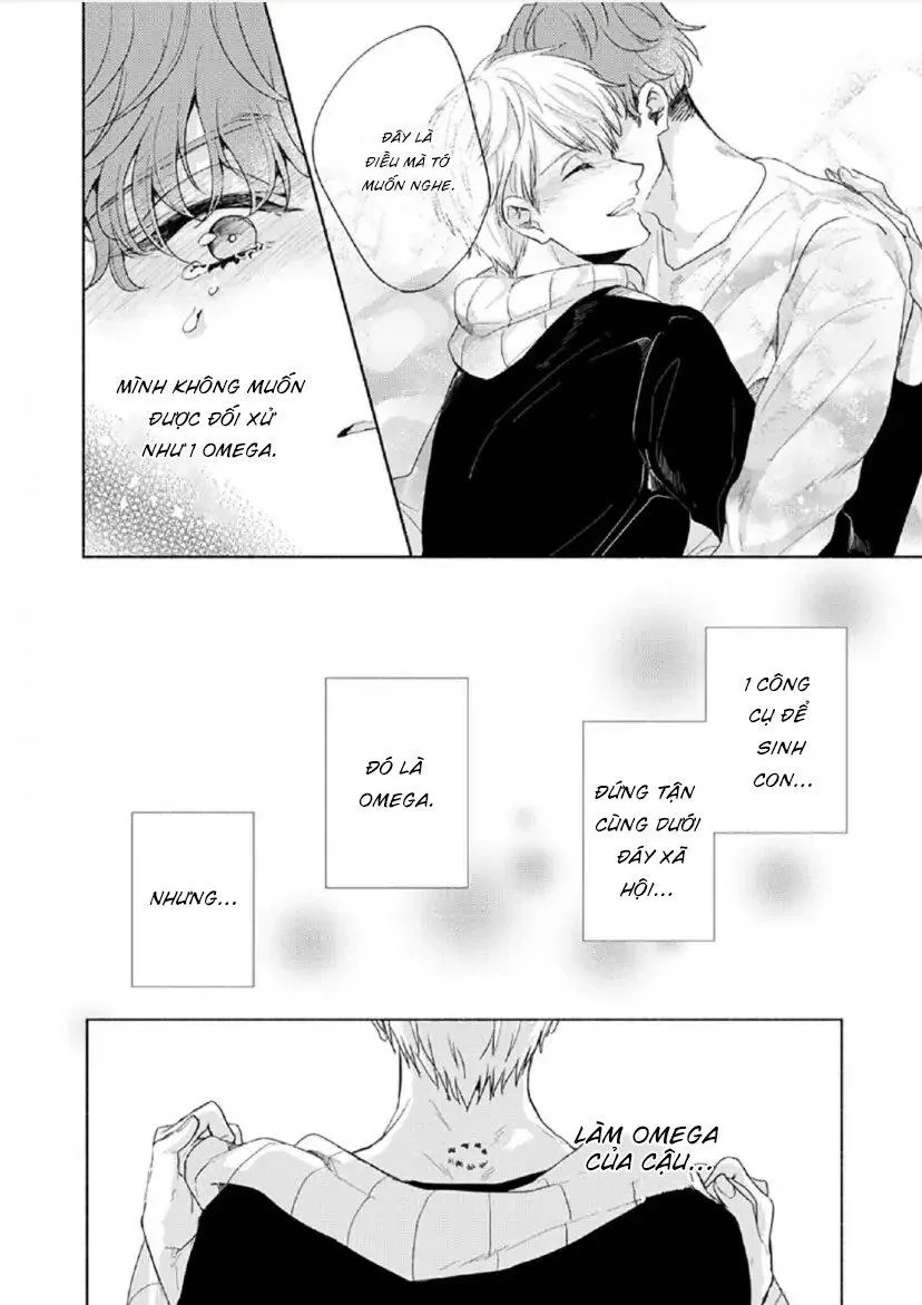 Từ Vết Cắn Cho Tới Mối Tình Đầu Chapter 6 Trang 13