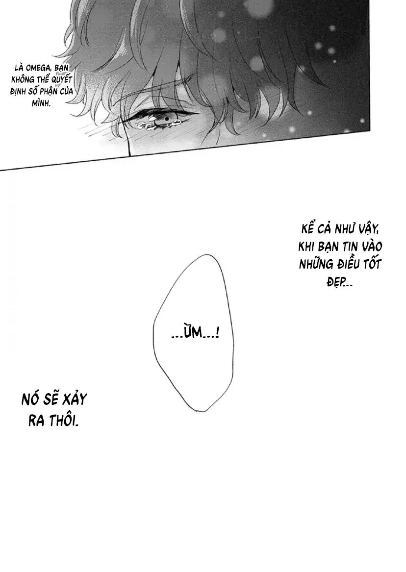 Từ Vết Cắn Cho Tới Mối Tình Đầu Chapter 7 Trang 17