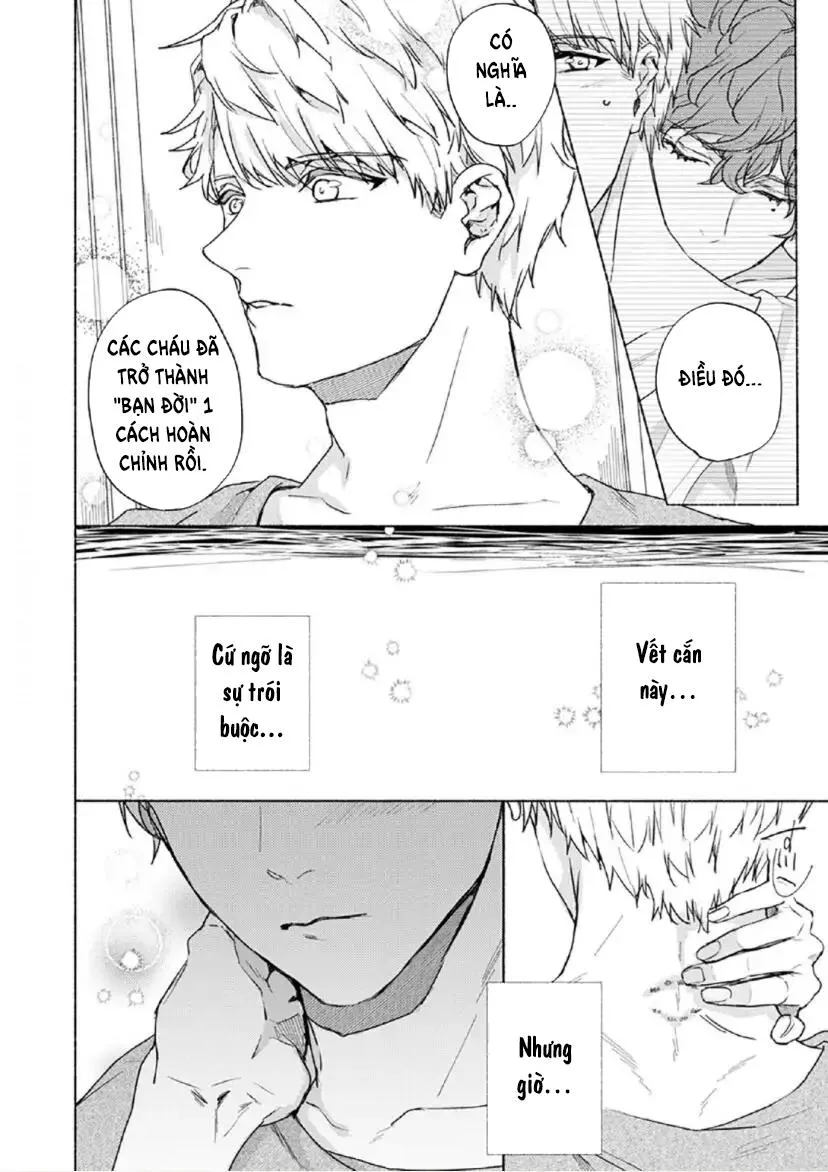 Từ Vết Cắn Cho Tới Mối Tình Đầu Chapter 8 Trang 5