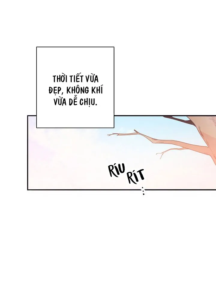 Tuổi 17 của cậu Chapter 1 Trang 13