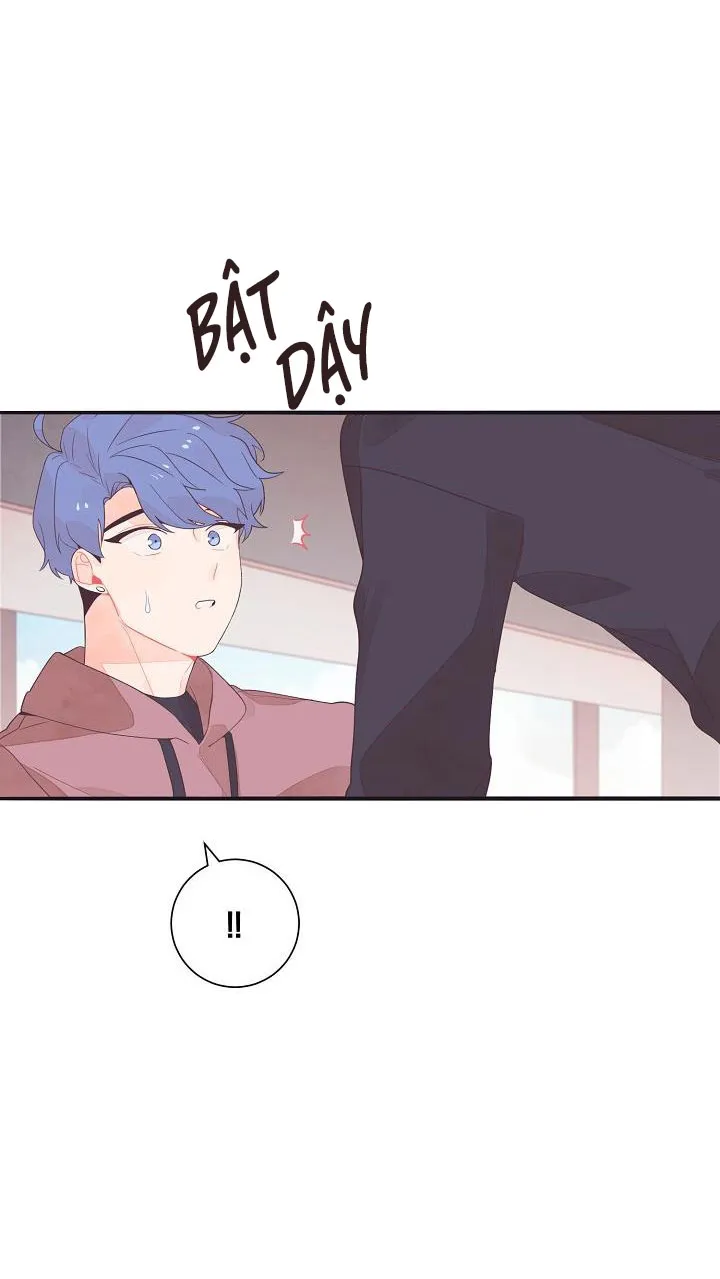 Tuổi 17 của cậu Chapter 5 Trang 3