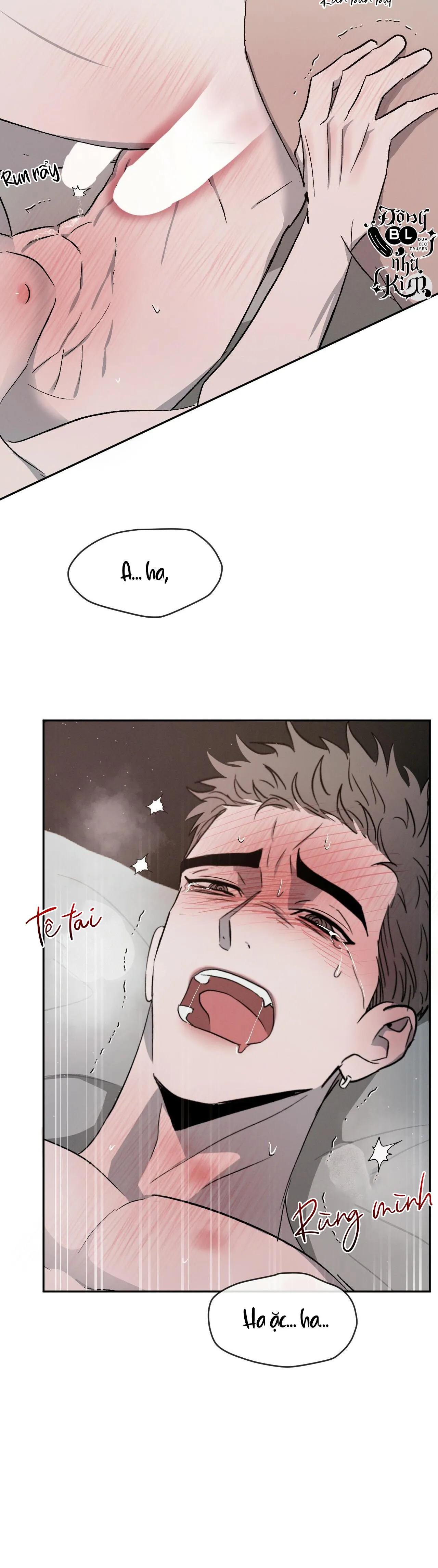 TƯƠNG PHẢN Chapter 36 Trang 32