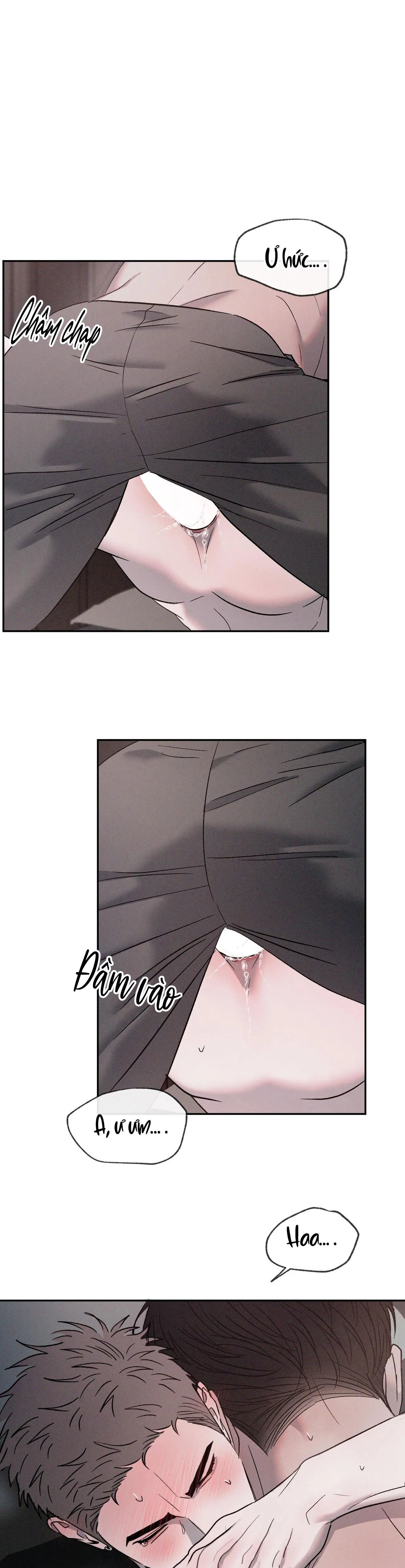 TƯƠNG PHẢN Chapter 62 Trang 3