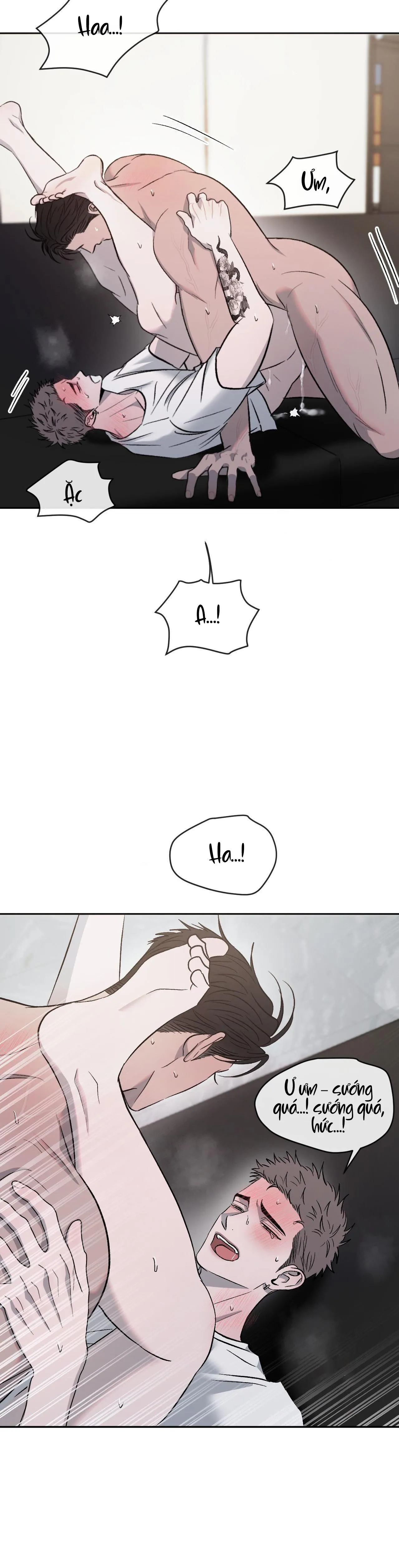 TƯƠNG PHẢN Chapter 78 Trang 19