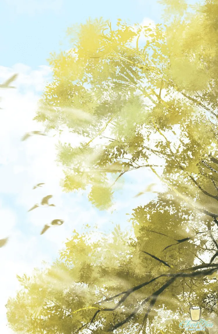 Tướng Quân Luôn Tự Coi Mình Thành Thế Thân Chapter 0 Trang 19