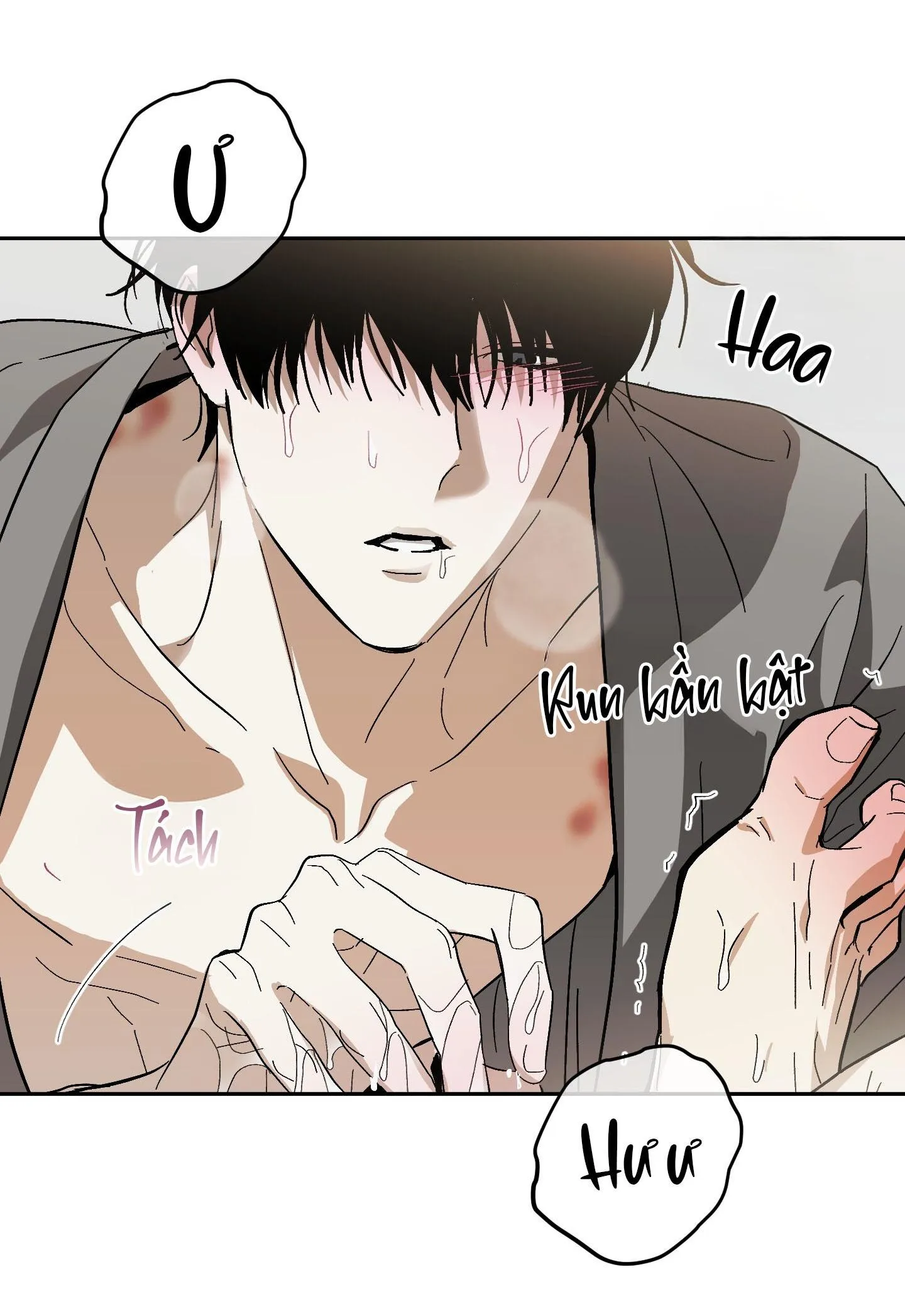 TƯƠNG XỨNG Chapter 14 Trang 15