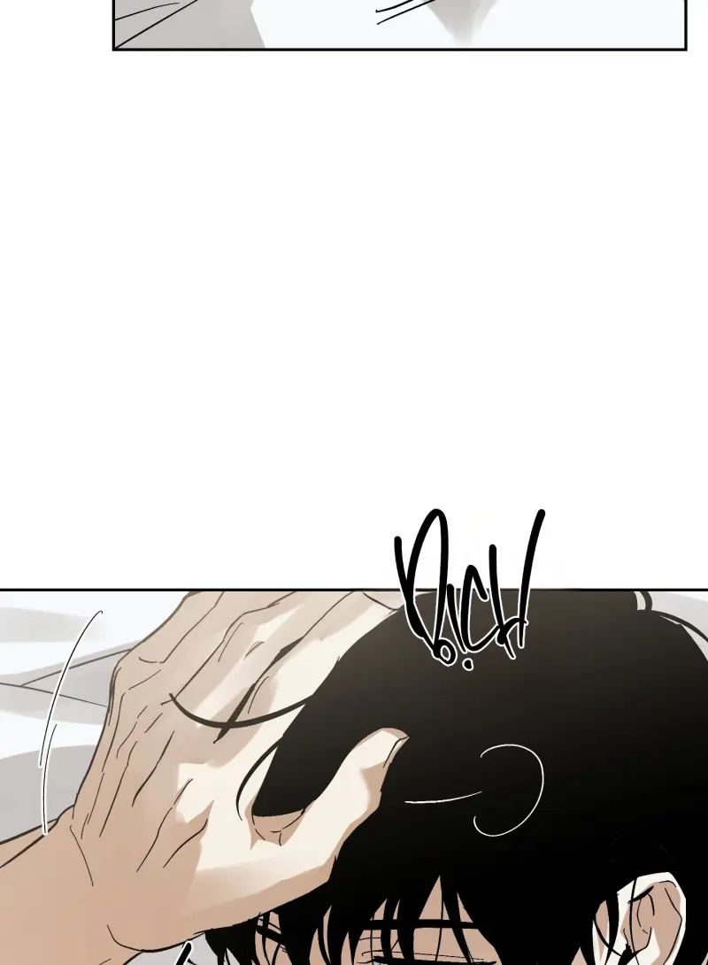 TƯƠNG XỨNG Chapter 15 Trang 52