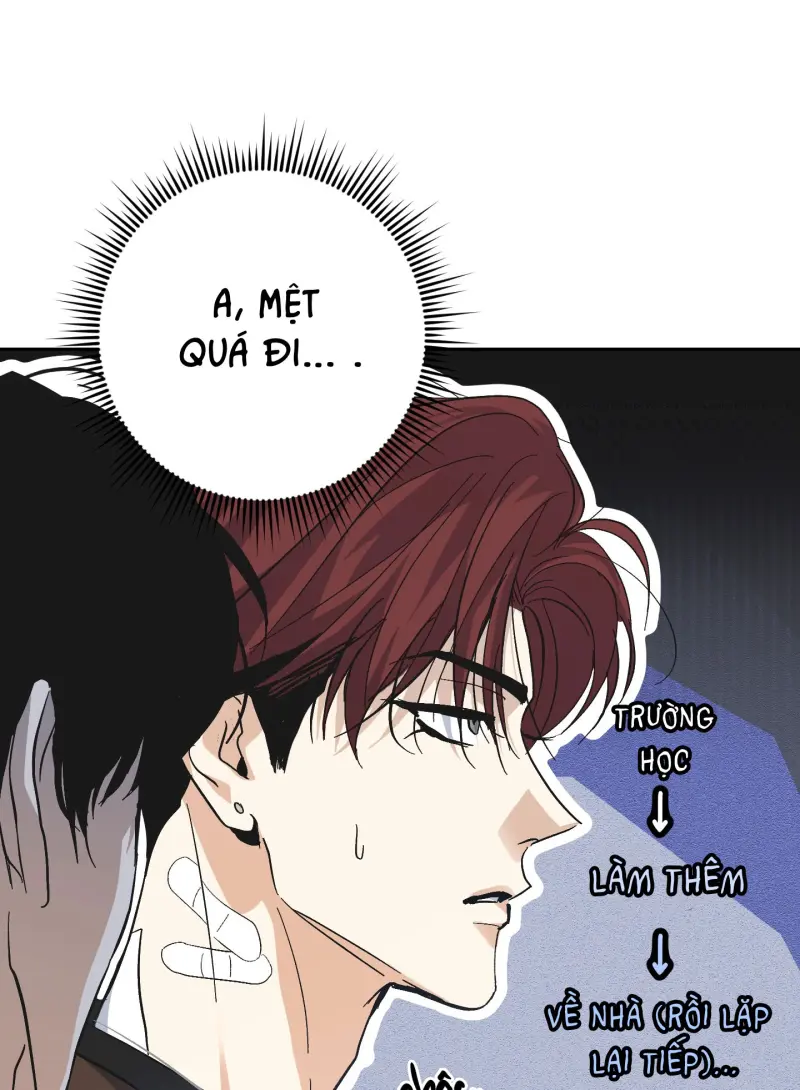 TƯƠNG XỨNG Chapter 17 Trang 8