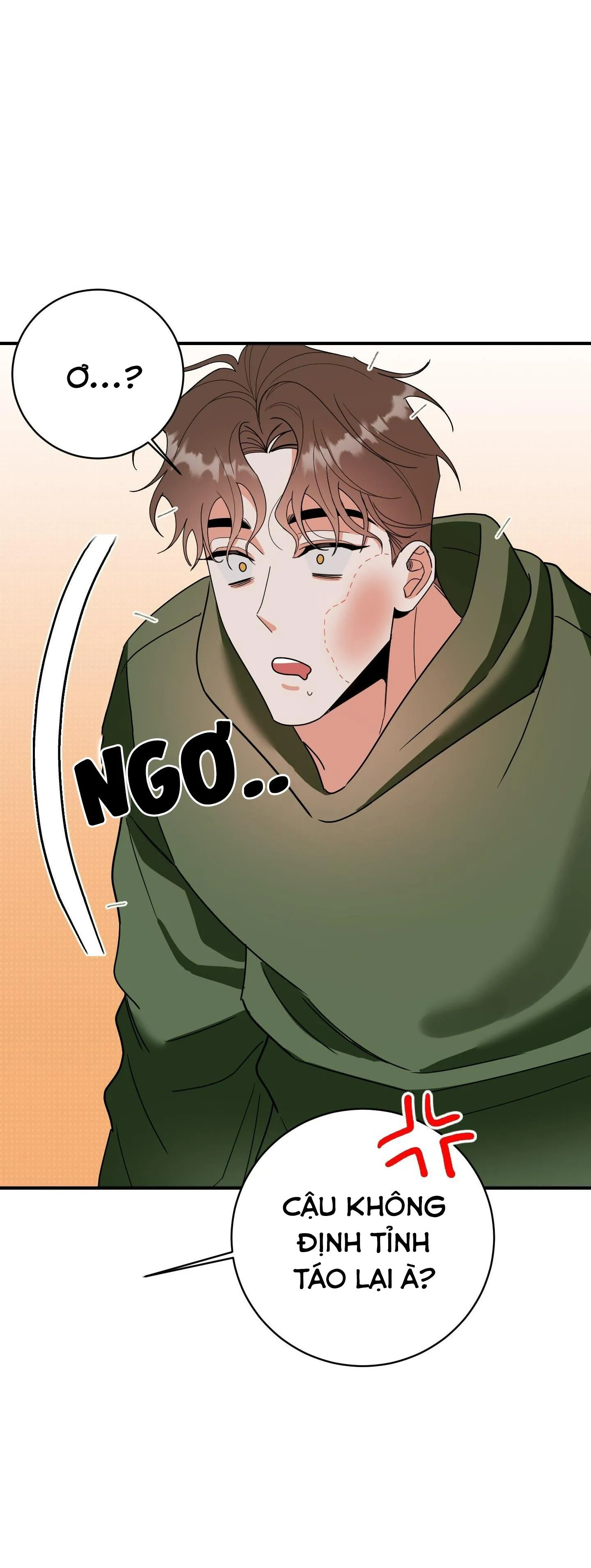 TURN OVER Chapter 4 Trang 20