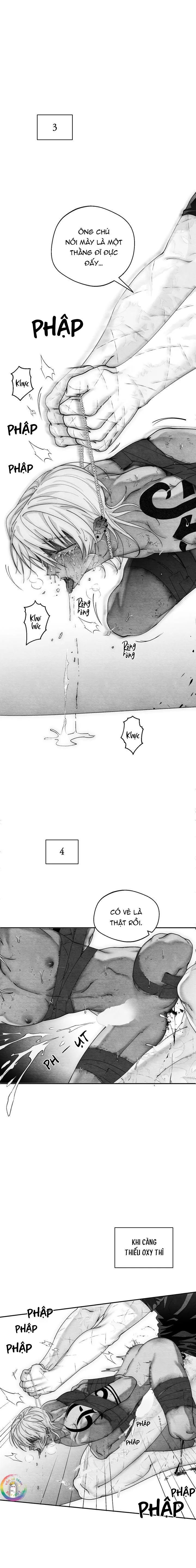 Tuyển Tập Báo Cáo Xử Lý Rác Thải Chapter 28 Trang 5